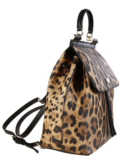 dolce gabbana animal backpack|Dolce & Gabbana bag sale.